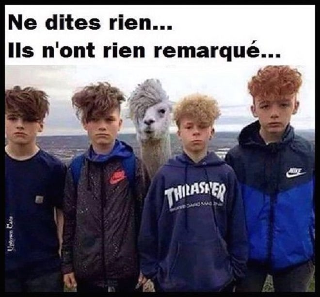 top-50-des-meilleures-images-dr-les